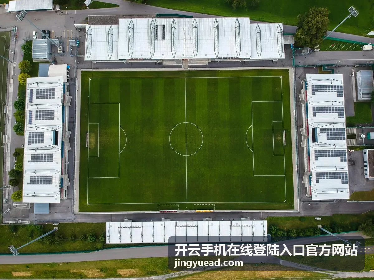 开云手机在线登陆步骤操作演示