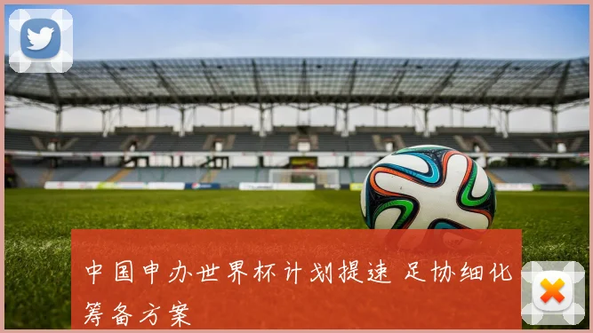 中国申办世界杯计划提速 足协细化筹备方案