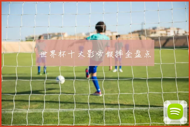 世界杯十大影帝假摔全盘点