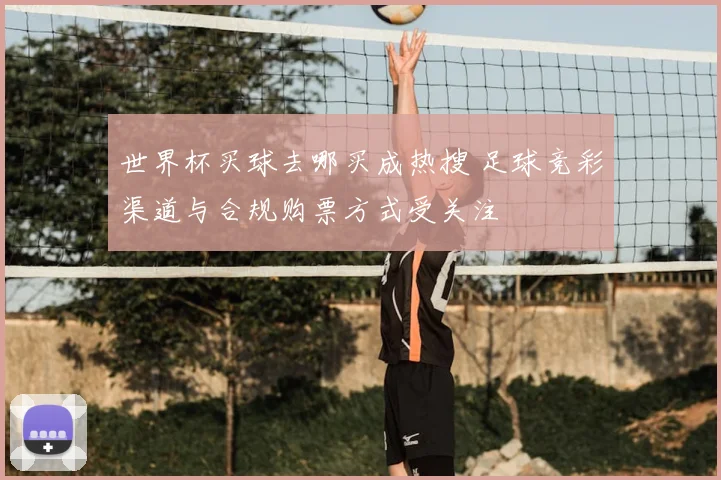 世界杯买球去哪买成热搜 足球竞彩渠道与合规购票方式受关注